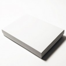 Sober-series box and lid 220x160x32 mm white (100-pack)