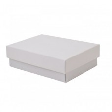 Sober-series box and lid 159x112x25 mm white (100-pack)